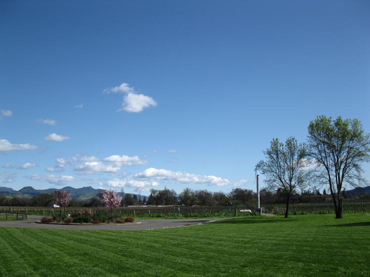 Provenance Vineyards, 1695 St. Helena Highway South, St. Helena, California, March 10, 2010