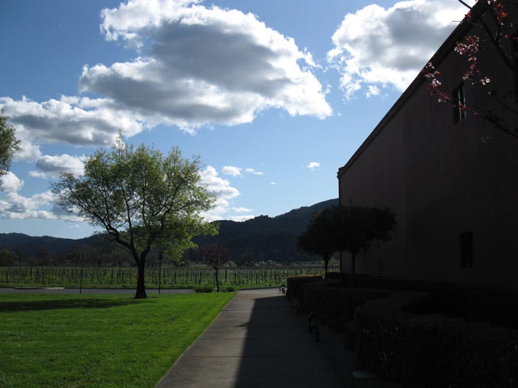 Provenance Vineyards, 1695 St. Helena Highway South, St. Helena, California, March 10, 2010