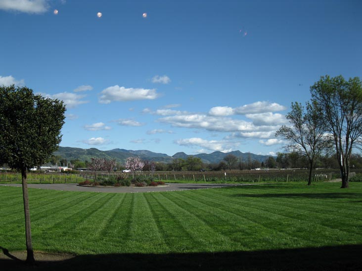 Provenance Vineyards, 1695 St. Helena Highway South, St. Helena, California, March 10, 2010