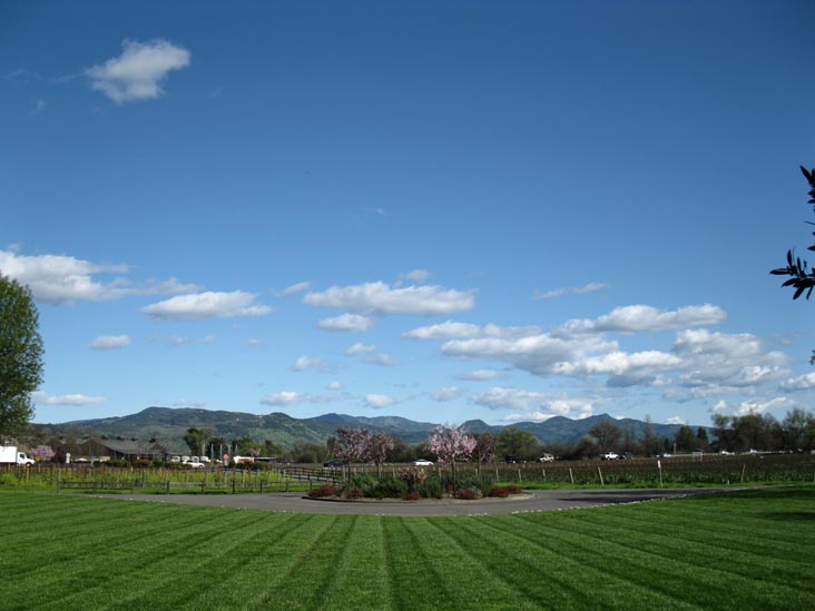 Provenance Vineyards, 1695 St. Helena Highway South, St. Helena, California, March 10, 2010