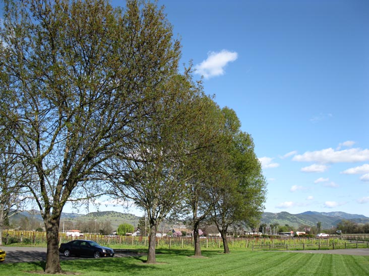 Provenance Vineyards, 1695 St. Helena Highway South, St. Helena, California, March 10, 2010