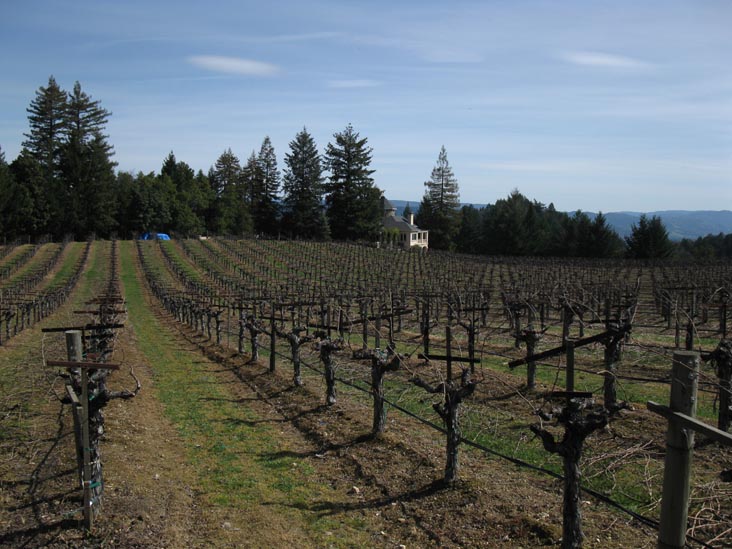 Schweiger Vineyards, 4015 Spring Mountain Road, St. Helena, California
