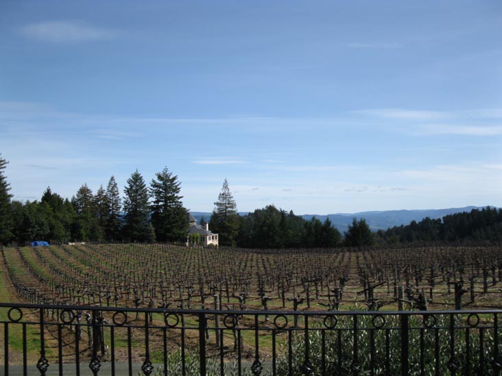 Schweiger Vineyards, 4015 Spring Mountain Road, St. Helena, California