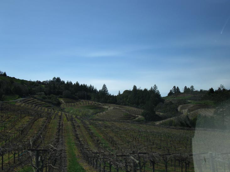Schweiger Vineyards, 4015 Spring Mountain Road, St. Helena, California
