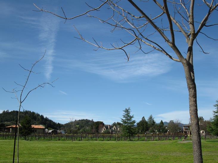 Trespass Vineyard, 1859 Hillview Place, St. Helena, California