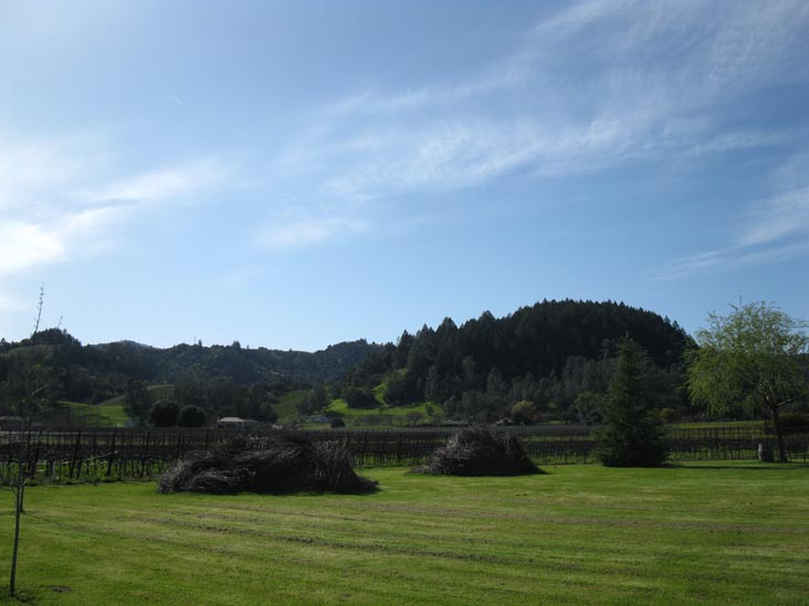 Trespass Vineyard, 1859 Hillview Place, St. Helena, California