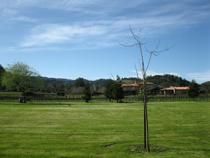 Trespass Vineyard, 1859 Hillview Place, St. Helena, California