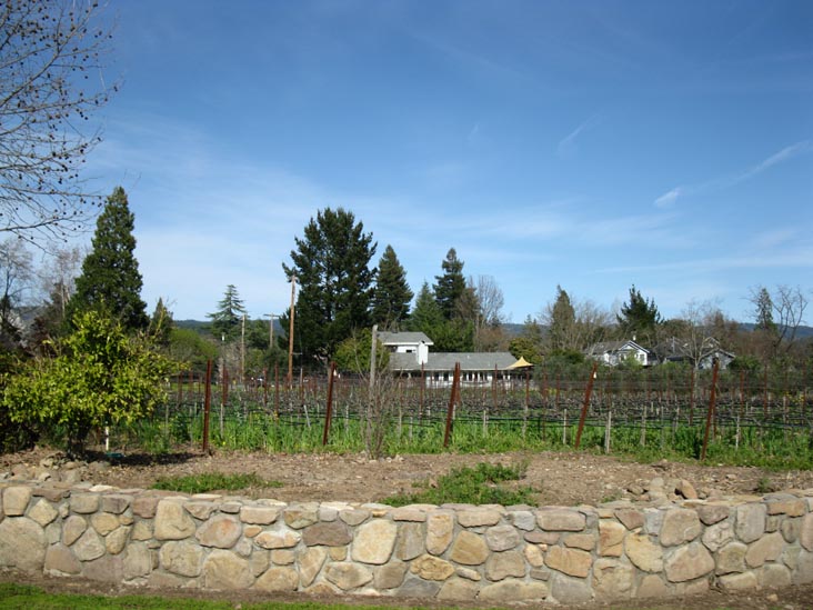 Trespass Vineyard, 1859 Hillview Place, St. Helena, California