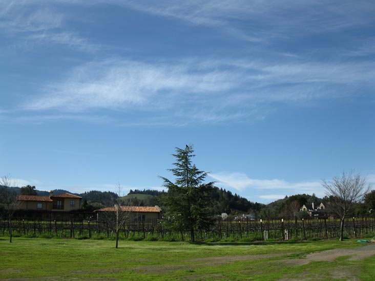 Trespass Vineyard, 1859 Hillview Place, St. Helena, California