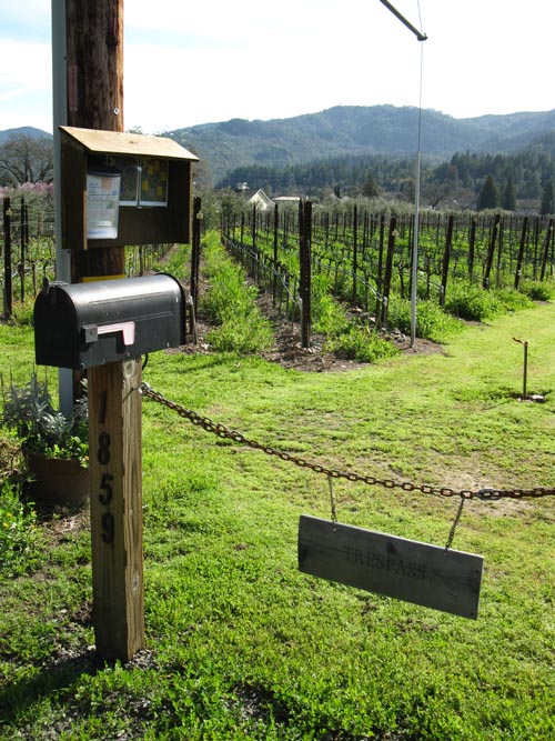 Trespass Vineyard, 1859 Hillview Place, St. Helena, California