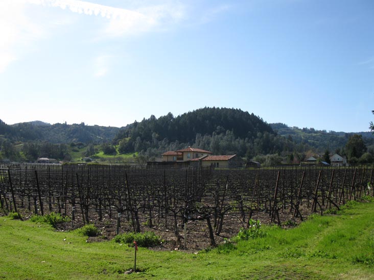 Trespass Vineyard, 1859 Hillview Place, St. Helena, California