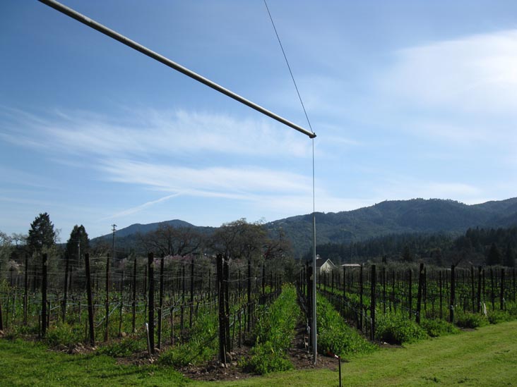 Trespass Vineyard, 1859 Hillview Place, St. Helena, California