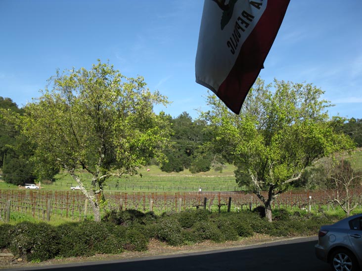 William Harrison Vineyards & Winery, 1443 Silverado Trail, St. Helena, California