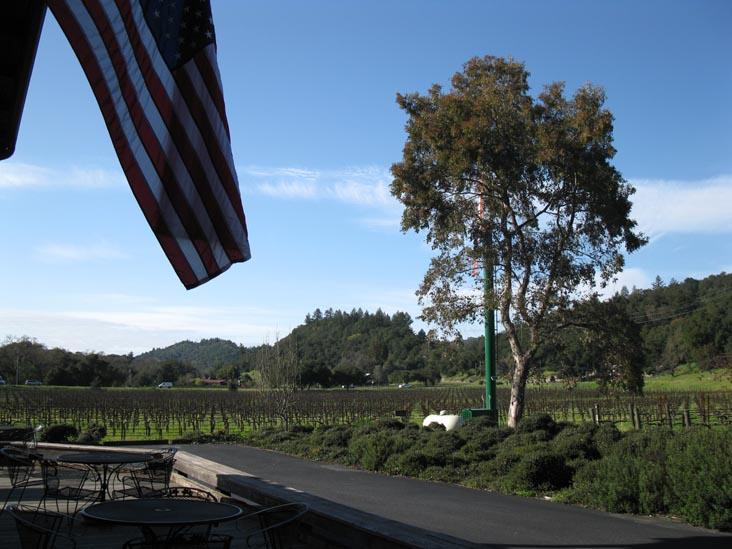 William Harrison Vineyards & Winery, 1443 Silverado Trail, St. Helena, California