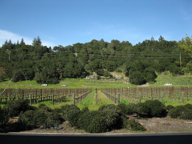 William Harrison Vineyards & Winery, 1443 Silverado Trail, St. Helena, California
