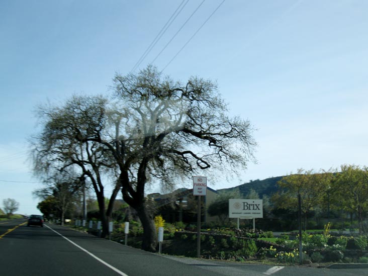 Brix, 7377 St. Helena Highway, Yountville, California