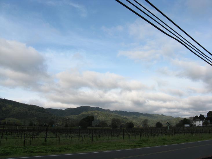 View From Washington Street Outside George C. Yount Pioneer Cemetery, Yountville, California
