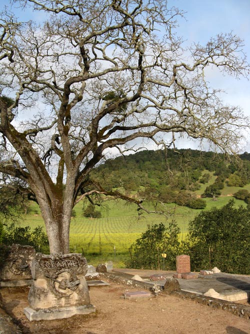 George C. Yount Pioneer Cemetery, Yountville, California