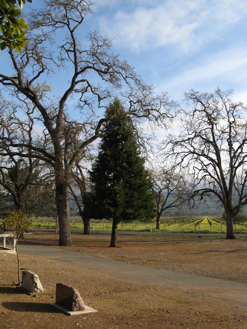 George C. Yount Pioneer Cemetery, Yountville, California