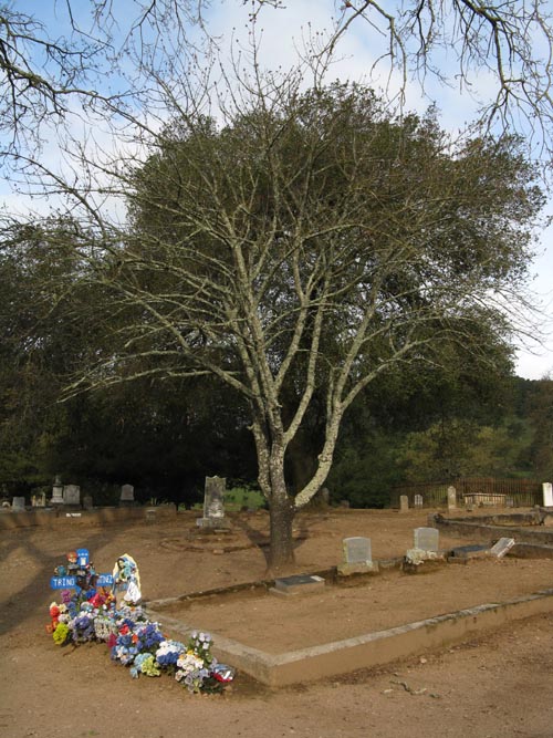 George C. Yount Pioneer Cemetery, Yountville, California