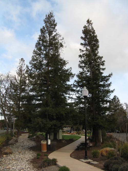 Van de Leur Park, Washington Street, Yountville, California