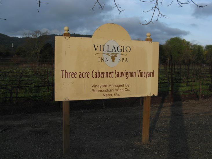 Cabernet Sauvignon Vineyard, Villagio Inn & Spa, 6481 Washington Street, Yountville, California
