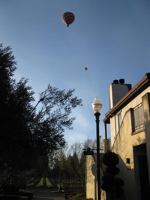 Villagio Inn & Spa, 6481 Washington Street, Yountville, California, March 9, 2010