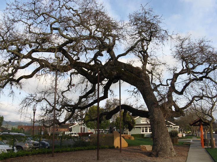 Washington Street, Yountville, California