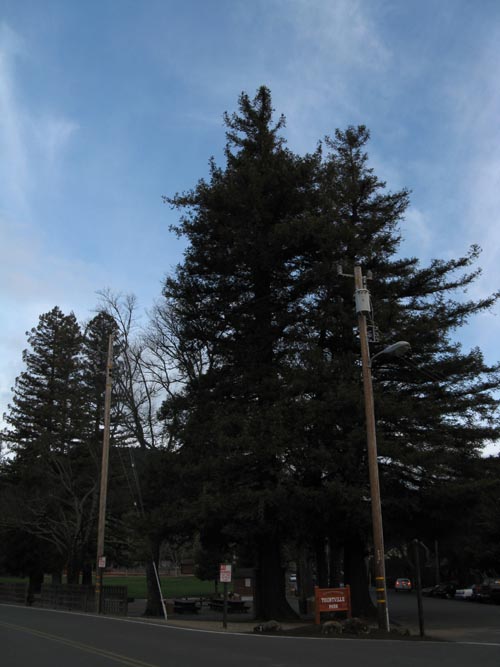 Yountville Park, Washington Street at Lincoln Avenue, Yountville, California