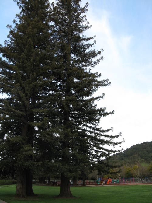 Yountville Park, Washington Street at Lincoln Avenue, Yountville, California