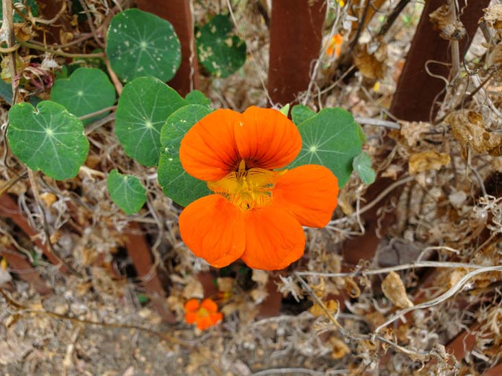 Crystal Cove State Park, Newport Coast, California, August 6, 2023