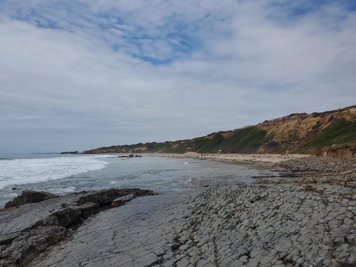 Crystal Cove State Park, Newport Coast, California, August 10, 2023
