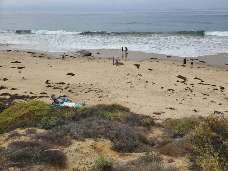 Crystal Cove State Park, Newport Coast, California, August 9, 2025