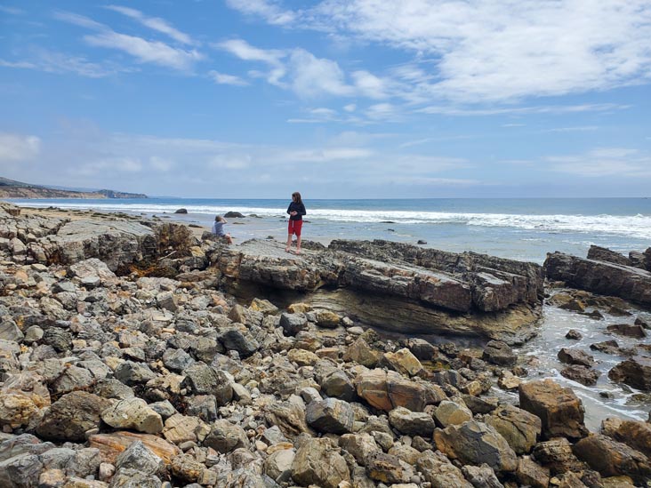 Crystal Cove State Park, Newport Coast, California, August 10, 2023