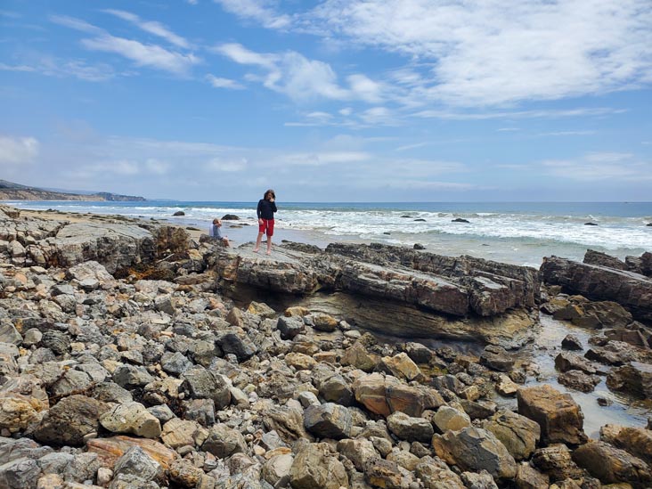 Crystal Cove State Park, Newport Coast, California, August 10, 2023