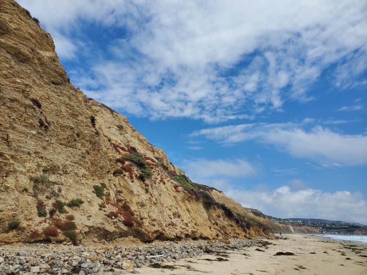 Crystal Cove State Park, Newport Coast, California, August 10, 2023