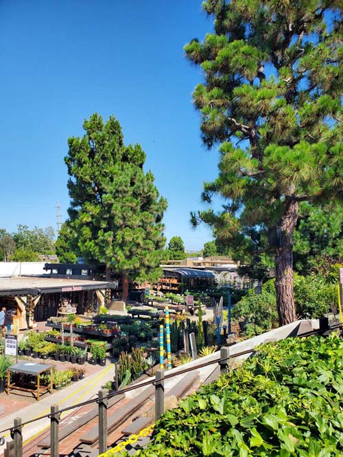 Roger's Gardens, Corona Del Mar, California, July 31, 2024