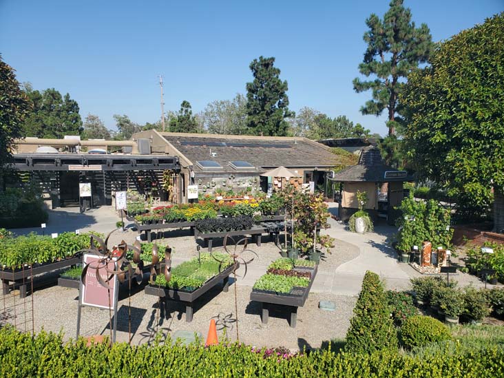 Roger's Gardens, Corona Del Mar, California, August 6, 2025