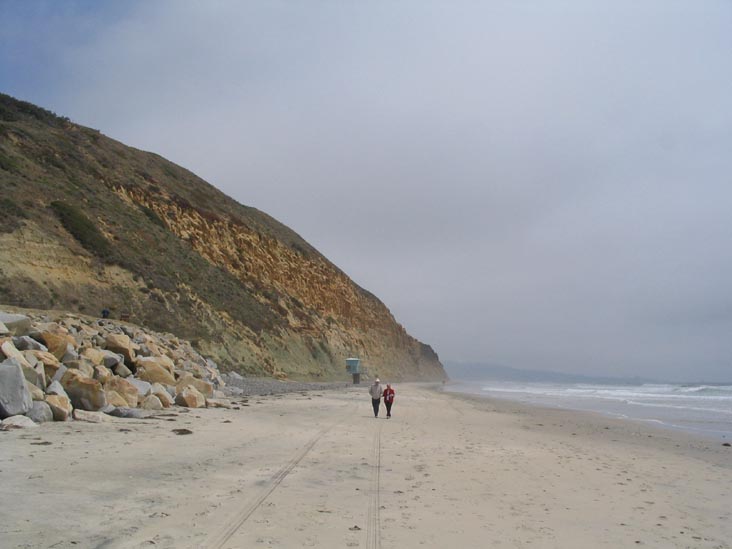 Beach, Torrey Pines State Reserve, La Jolla, California