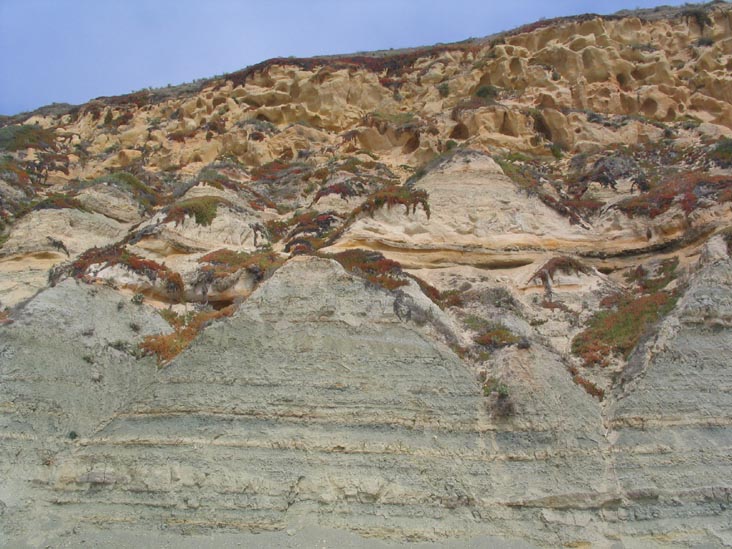 Cliffs, Beach, Torrey Pines State Reserve, La Jolla, California