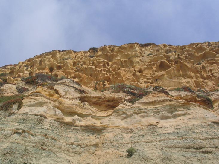 Cliffs, Beach, Torrey Pines State Reserve, La Jolla, California