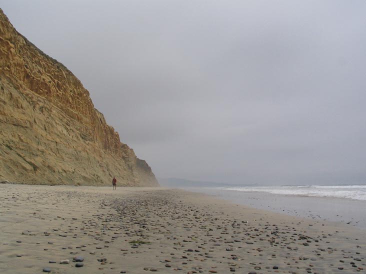 Beach, Torrey Pines State Reserve, La Jolla, California