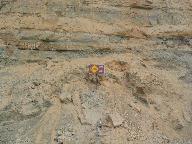 Cliffs, Beach, Torrey Pines State Reserve, La Jolla, California