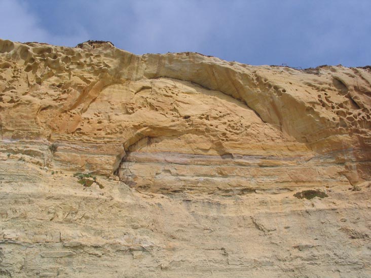 Cliffs, Beach, Torrey Pines State Reserve, La Jolla, California