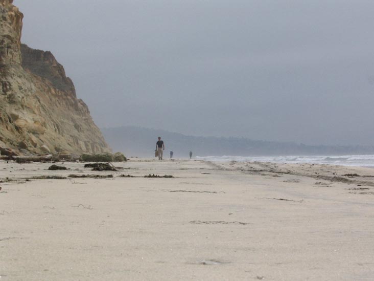 Beach, Torrey Pines State Reserve, La Jolla, California