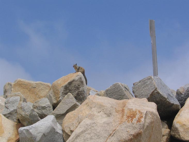 Beach, Torrey Pines State Reserve, La Jolla, California