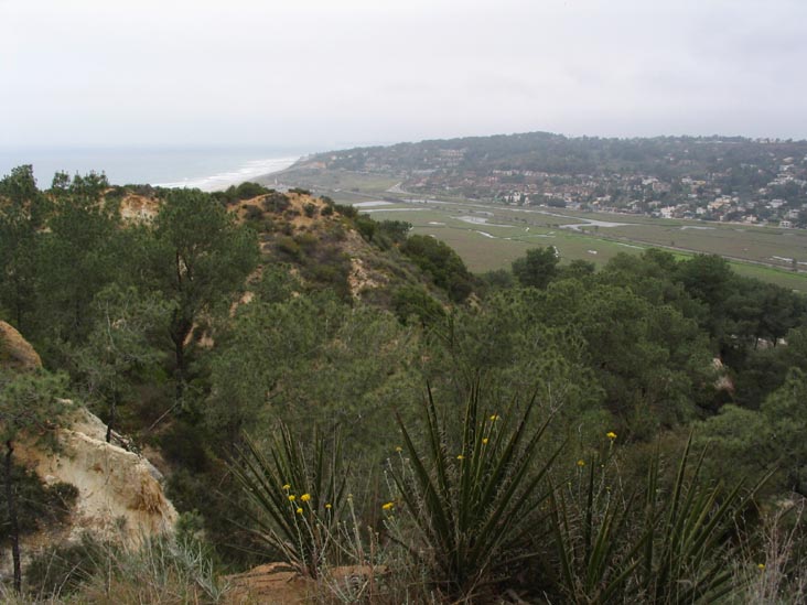 Visitor Center Vista, Torrey Pines State Reserve, La Jolla, California