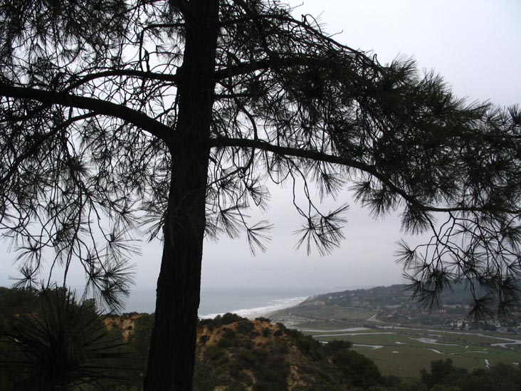 Torrey Pines State Reserve, La Jolla, California
