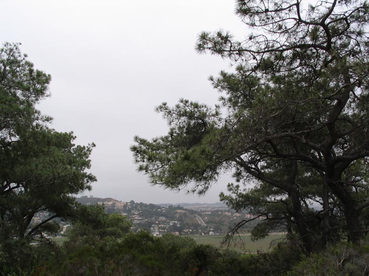Torrey Pines State Reserve, La Jolla, California