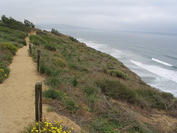 Guy Fleming Trail, Torrey Pines State Reserve, La Jolla, California